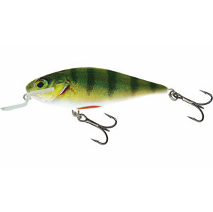 Salmo wobler executor shallow runner real dace-12 cm 33 g