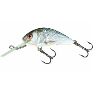 Salmo wobler hornet sinking real dace-2,5 cm 1,5 g