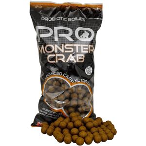 Starbaits boilies pro ginger squid - 2 kg 20 mm