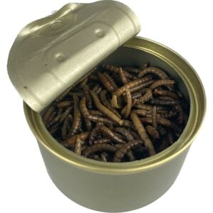Carpway mealworm múčný červ 35 g