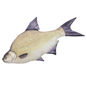 Gaby plyšová ryba pleskáč veľký 65 cm