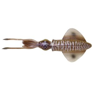 Savage gear gumová nástraha 3d lb swim squid cuttlefish - 9,5 cm 5 g
